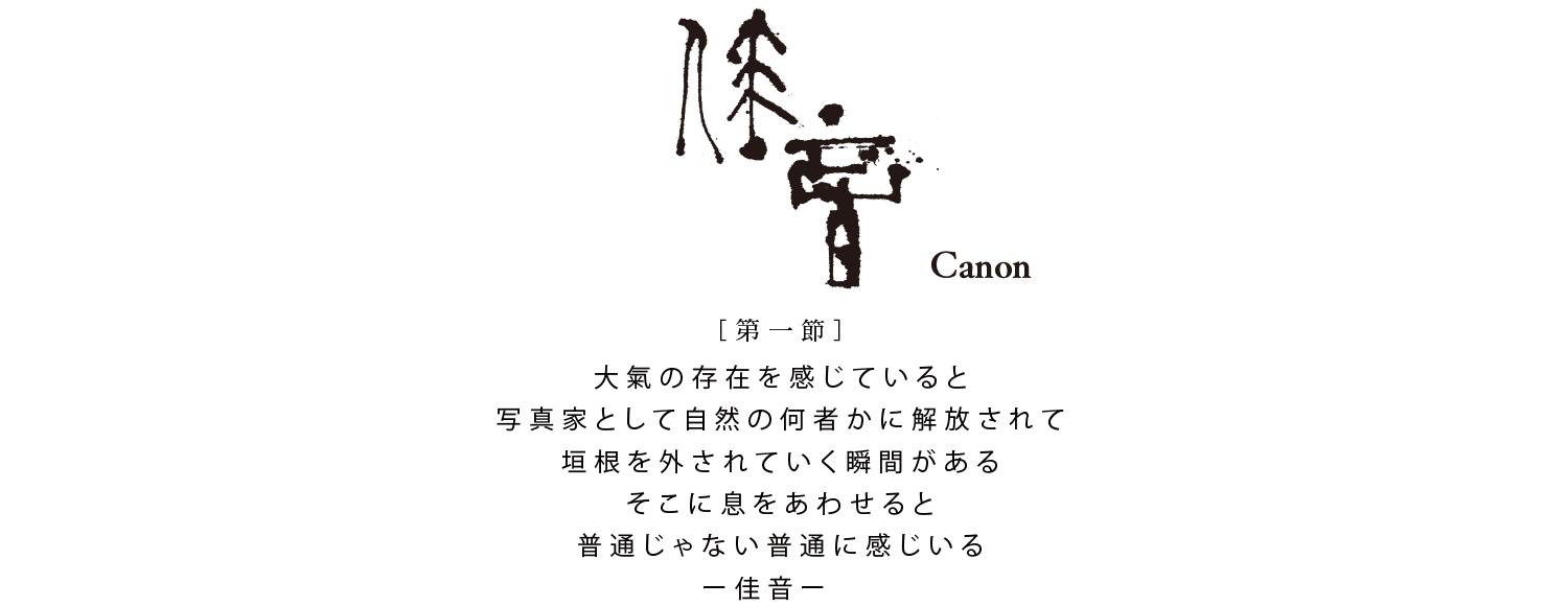 佳音